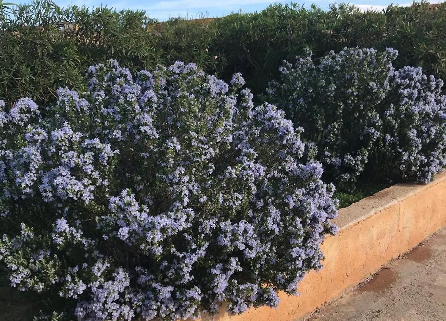 Dammuso Villa Lampedusa