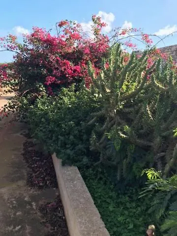 Casa vacanze Dammuso Villa Lampedusa Italia